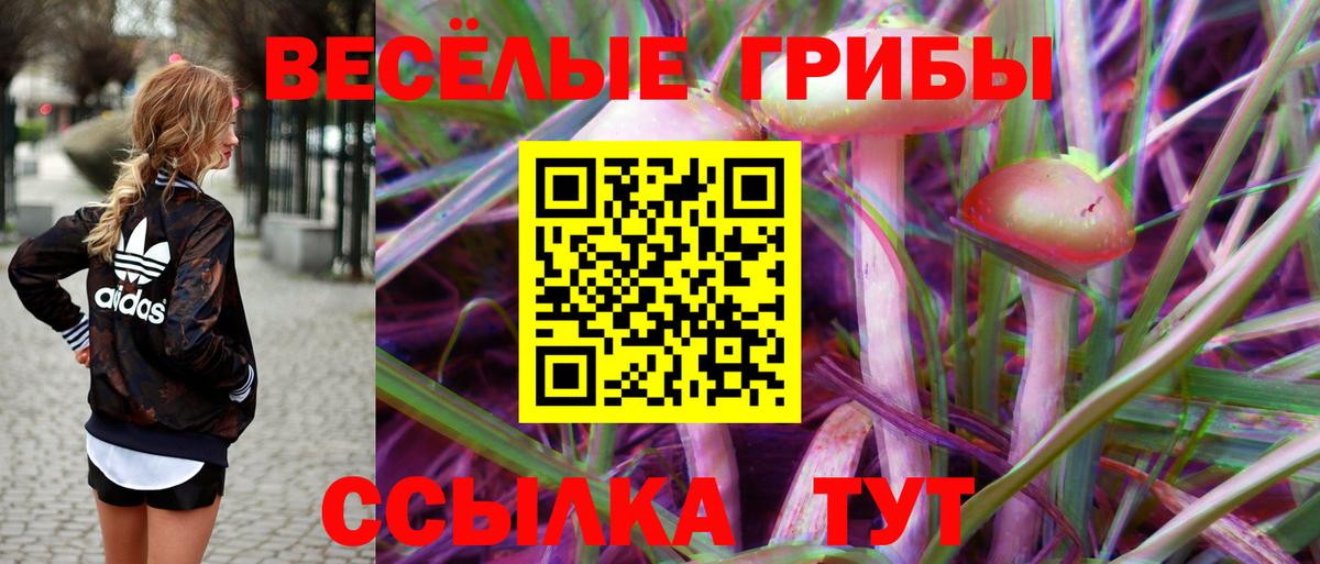 Галлюциногенные грибы GOLDEN TEACHER  Вход с VPN  Кандалакша 