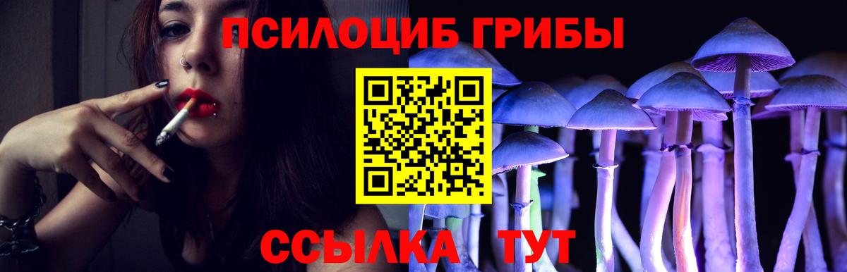 Галлюциногенные грибы Psilocybe Кандалакша