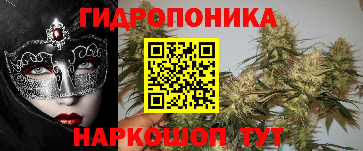 Конопля MAZAR Кандалакша